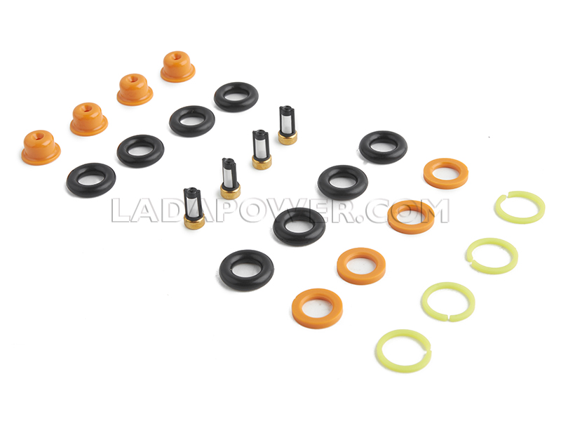 Lada Fuel Injection Nozzle Repair Kit For 4 Nozzles