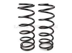Lada 2101-2107 Rear Coil Spring Lowered Kit -30 mm.