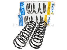 Lada 2102, 2104 Rear Coil Springs Kit Tevema Poland